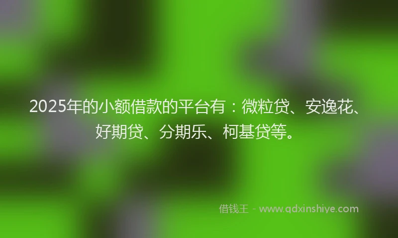 2025年的小额借款的平台有：微粒贷、安逸花、好期贷、分期乐、柯基贷等。