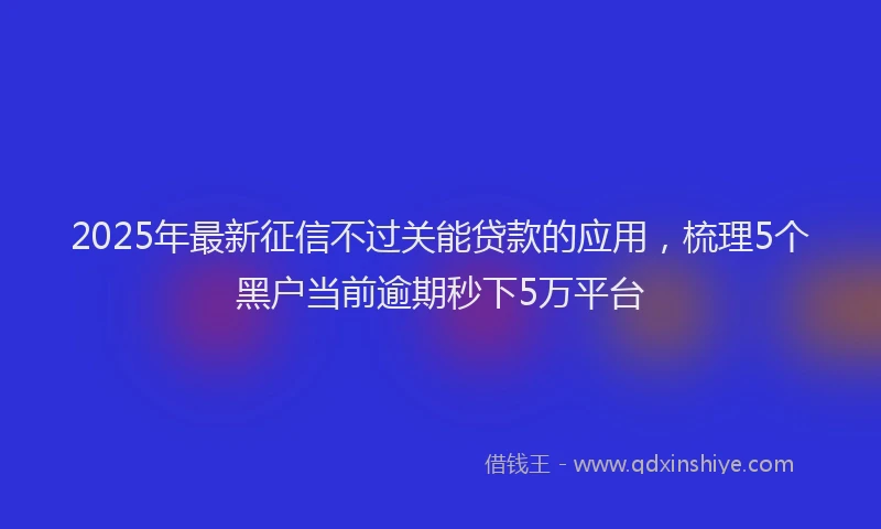 2025年最新征信不过关能贷款的应用，梳理5个黑户当前逾期秒下5万平台