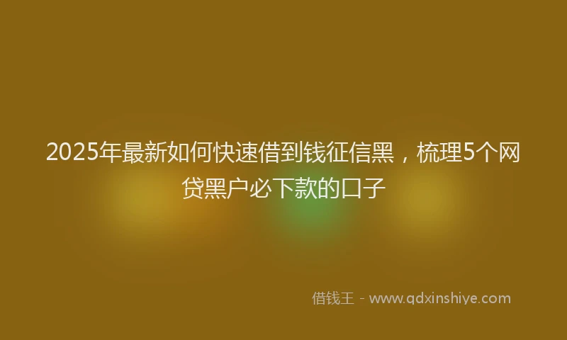 2025年最新如何快速借到钱征信黑，梳理5个网贷黑户必下款的口子