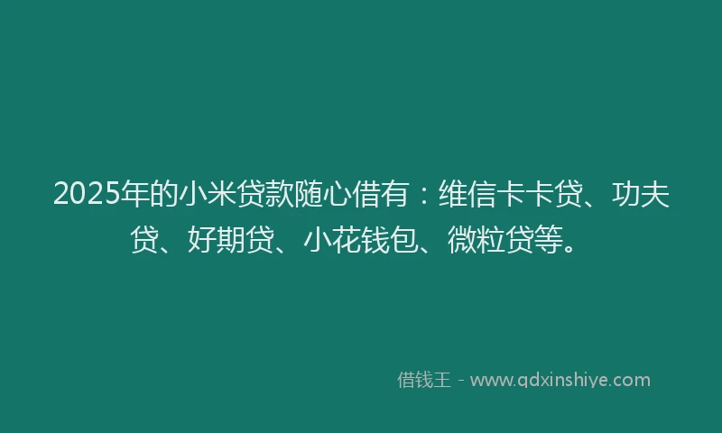 2025年的小米贷款随心借有：维信卡卡贷、功夫贷、好期贷、小花钱包、微粒贷等。