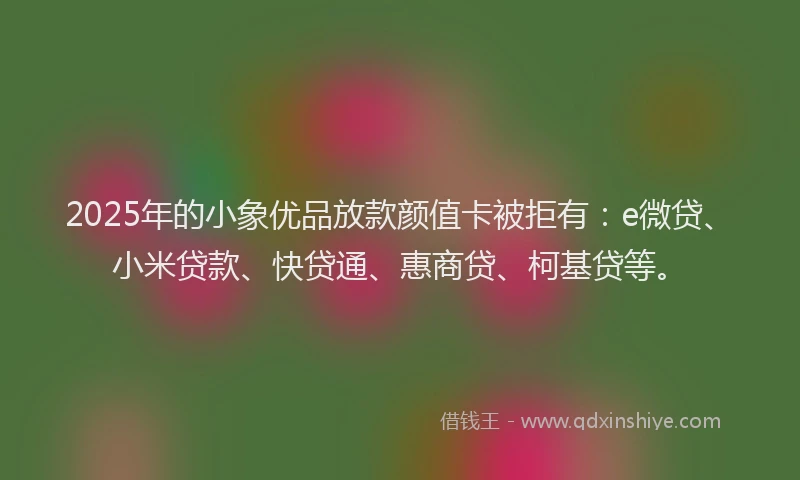 2025年的小象优品放款颜值卡被拒有：e微贷、小米贷款、快贷通、惠商贷、柯基贷等。