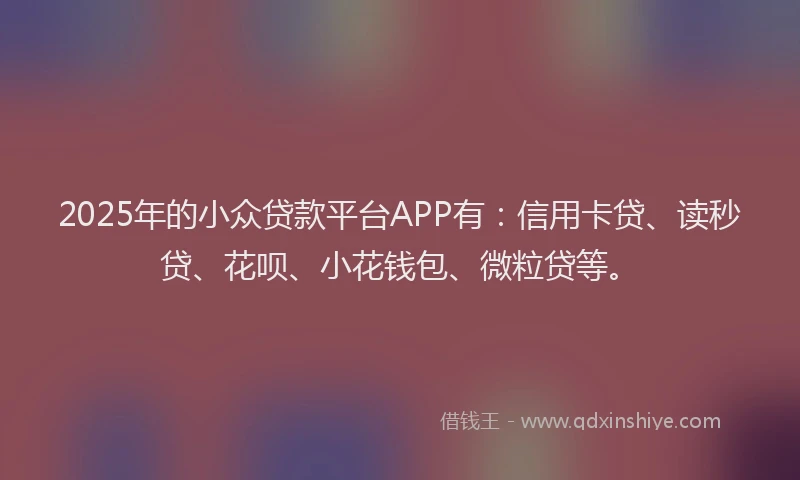 2025年的小众贷款平台APP有：信用卡贷、读秒贷、花呗、小花钱包、微粒贷等。