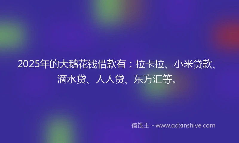 2025年的大鹅花钱借款有：拉卡拉、小米贷款、滴水贷、人人贷、东方汇等。