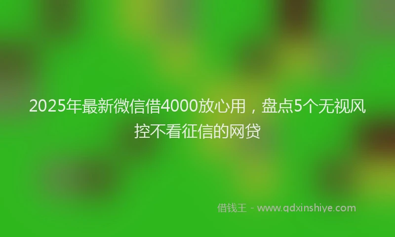 2025年最新微信借4000放心用，盘点5个无视风控不看征信的网贷