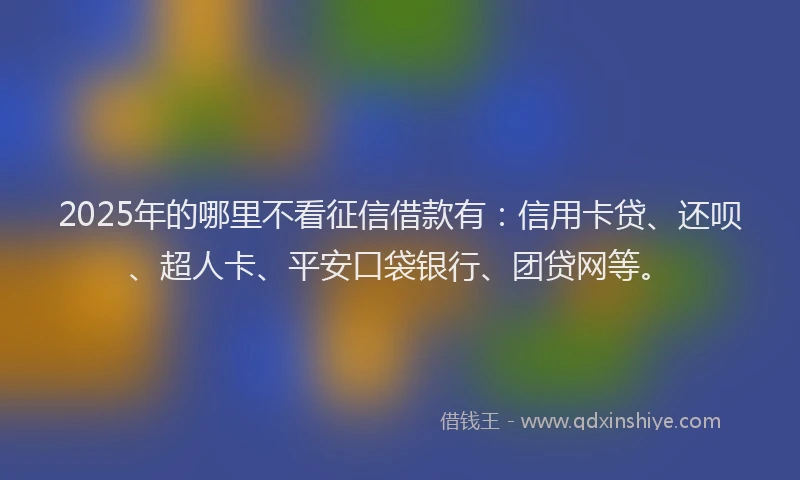 2025年的哪里不看征信借款有：信用卡贷、还呗、超人卡、平安口袋银行、团贷网等。