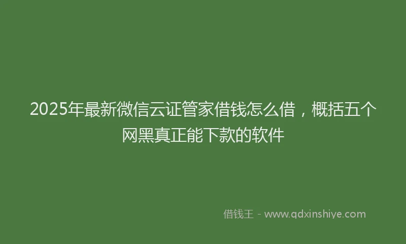 2025年最新微信云证管家借钱怎么借，概括五个网黑真正能下款的软件