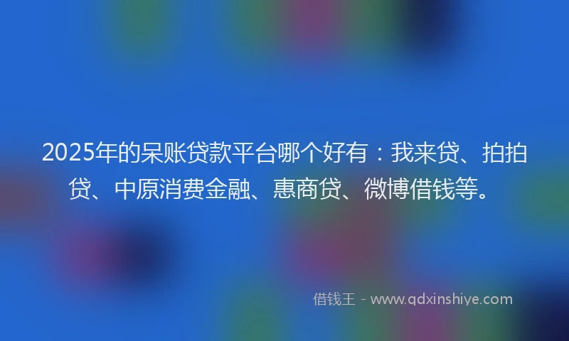 2025年的呆账贷款平台哪个好有：我来贷、拍拍贷、中原消费金融、惠商贷、微博借钱等。