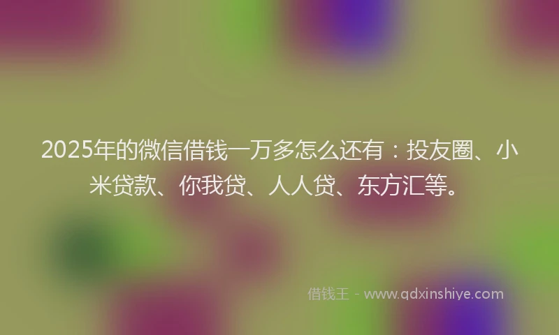 2025年的微信借钱一万多怎么还有：投友圈、小米贷款、你我贷、人人贷、东方汇等。