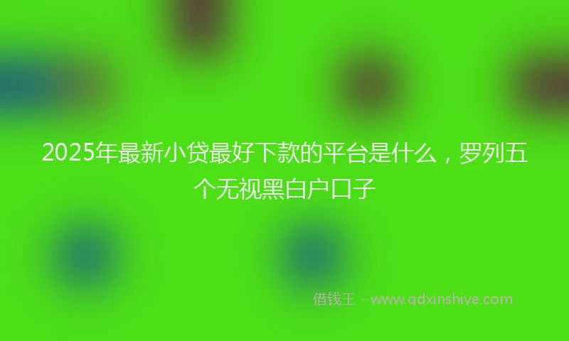 2025年最新小贷最好下款的平台是什么，罗列五个无视黑白户口子