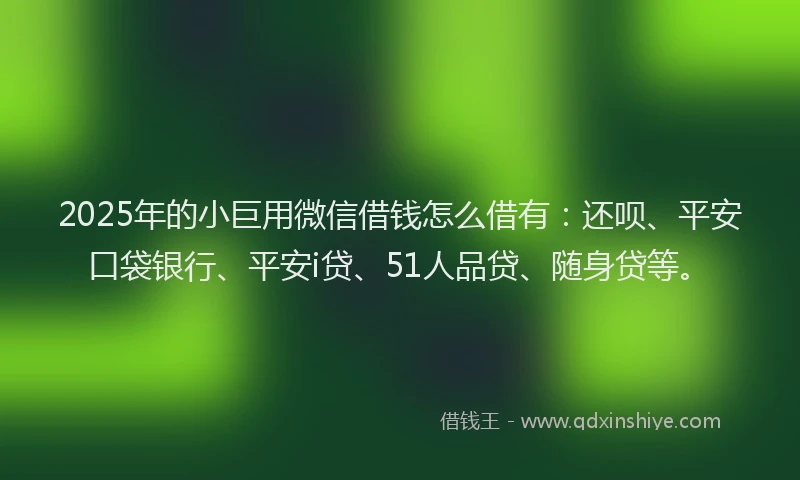 2025年的小巨用微信借钱怎么借有：还呗、平安口袋银行、平安i贷、51人品贷、随身贷等。
