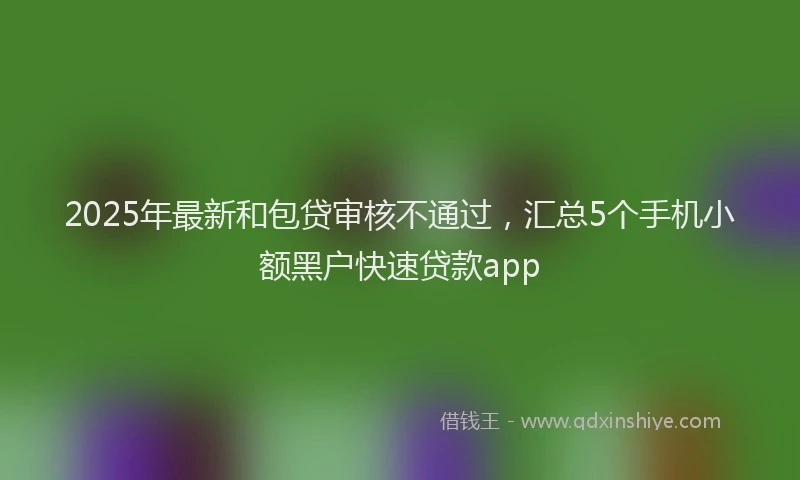 2025年最新和包贷审核不通过，汇总5个手机小额黑户快速贷款app