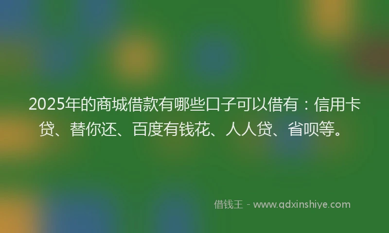 2025年的商城借款有哪些口子可以借有：信用卡贷、替你还、百度有钱花、人人贷、省呗等。