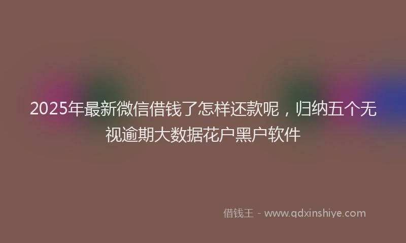 2025年最新微信借钱了怎样还款呢，归纳五个无视逾期大数据花户黑户软件