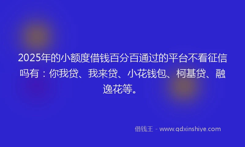 2025年的小额度借钱百分百通过的平台不看征信吗有：你我贷、我来贷、小花钱包、柯基贷、融逸花等。