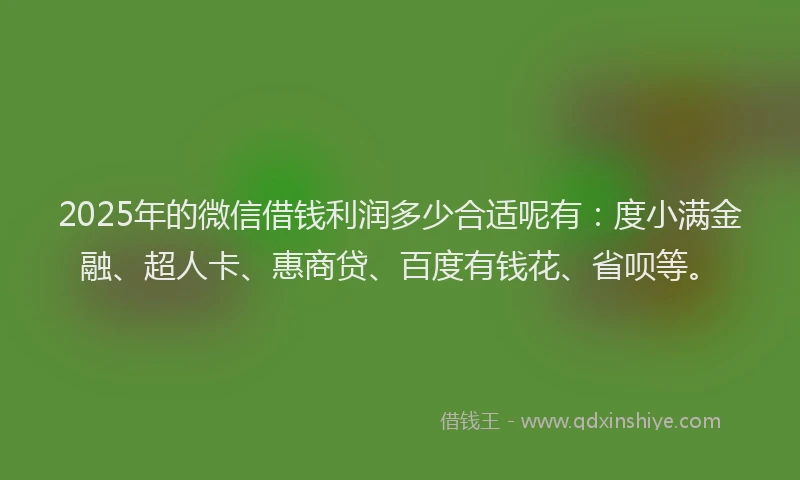 2025年的微信借钱利润多少合适呢有：度小满金融、超人卡、惠商贷、百度有钱花、省呗等。