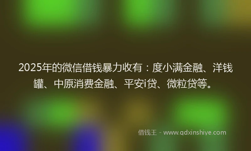 2025年的微信借钱暴力收有：度小满金融、洋钱罐、中原消费金融、平安i贷、微粒贷等。