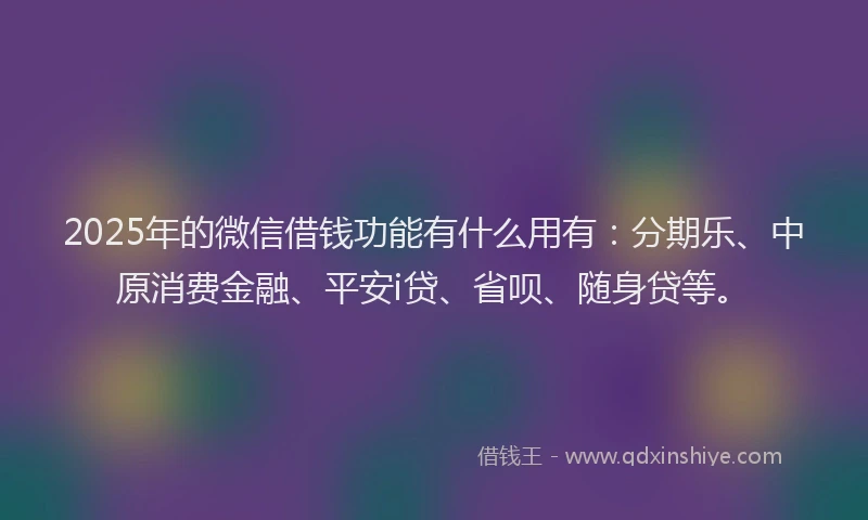 2025年的微信借钱功能有什么用有：分期乐、中原消费金融、平安i贷、省呗、随身贷等。