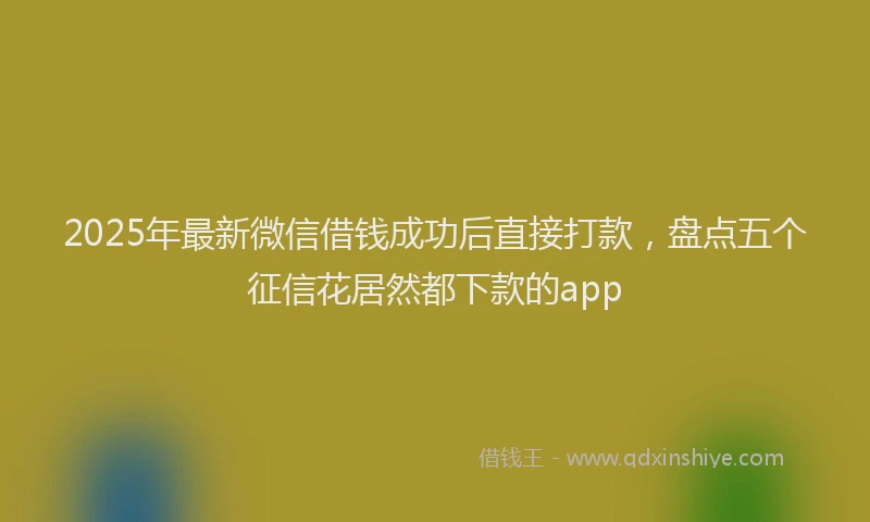 2025年最新微信借钱成功后直接打款，盘点五个征信花居然都下款的app