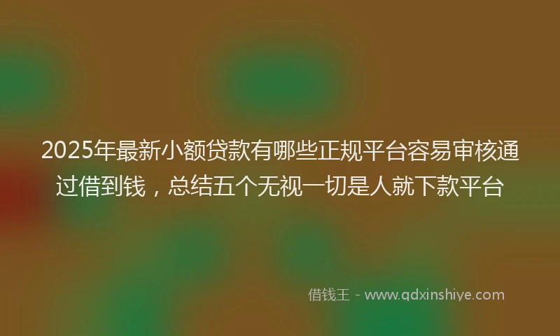 2025年最新小额贷款有哪些正规平台容易审核通过借到钱，总结五个无视一切是人就下款平台