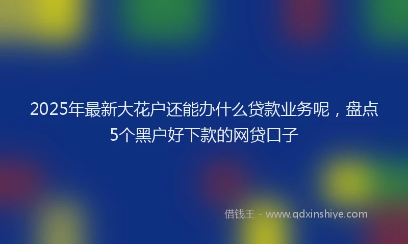 2025年最新大花户还能办什么贷款业务呢，盘点5个黑户好下款的网贷口子