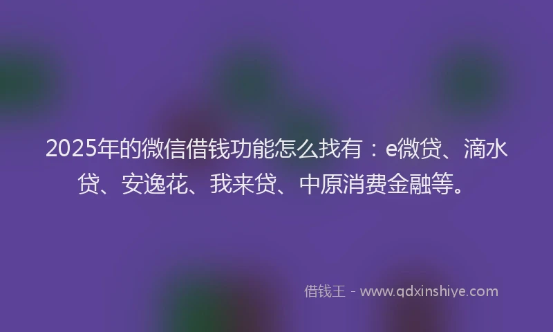 2025年的微信借钱功能怎么找有：e微贷、滴水贷、安逸花、我来贷、中原消费金融等。