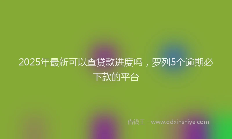 2025年最新可以查贷款进度吗，罗列5个逾期必下款的平台
