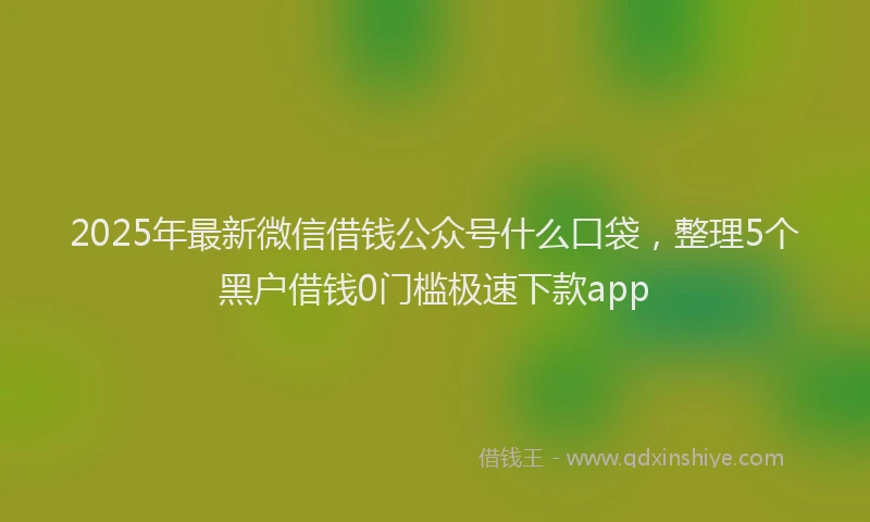 2025年最新微信借钱公众号什么口袋，整理5个黑户借钱0门槛极速下款app