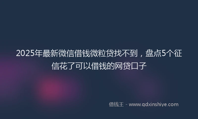 2025年最新微信借钱微粒贷找不到，盘点5个征信花了可以借钱的网贷口子