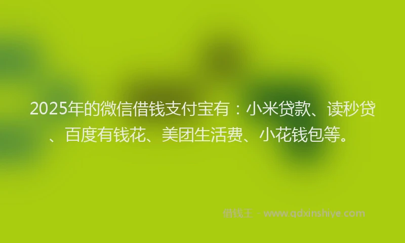 2025年的微信借钱支付宝有：小米贷款、读秒贷、百度有钱花、美团生活费、小花钱包等。