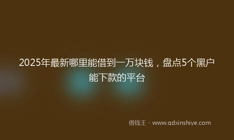 2025年最新哪里能借到一万块钱，盘点5个黑户能下款的平台