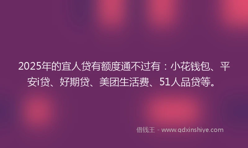 2025年的宜人贷有额度通不过有：小花钱包、平安i贷、好期贷、美团生活费、51人品贷等。