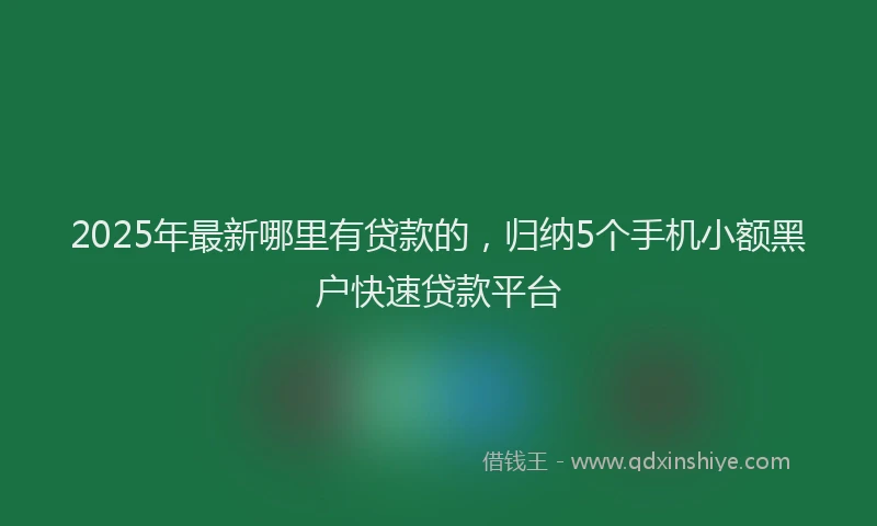 2025年最新哪里有贷款的，归纳5个手机小额黑户快速贷款平台