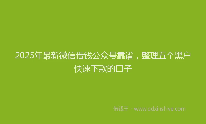 2025年最新微信借钱公众号靠谱，整理五个黑户快速下款的口子