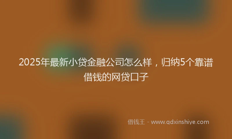 2025年最新小贷金融公司怎么样，归纳5个靠谱借钱的网贷口子