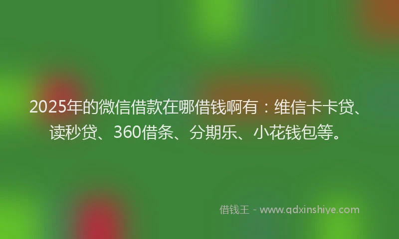 2025年的微信借款在哪借钱啊有：维信卡卡贷、读秒贷、360借条、分期乐、小花钱包等。