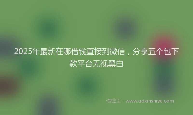 2025年最新在哪借钱直接到微信，分享五个包下款平台无视黑白