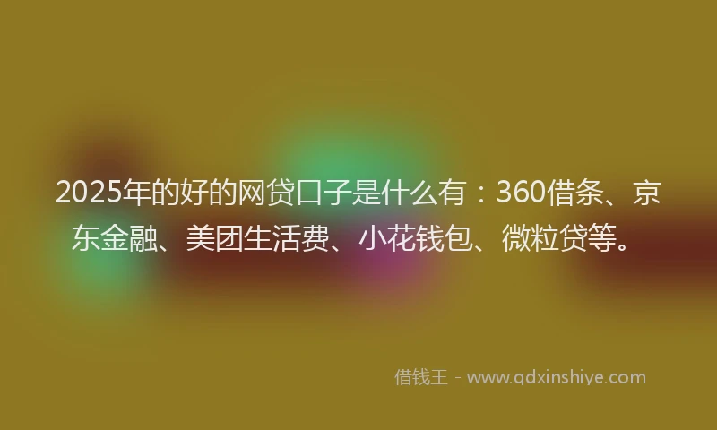 2025年的好的网贷口子是什么有：360借条、京东金融、美团生活费、小花钱包、微粒贷等。
