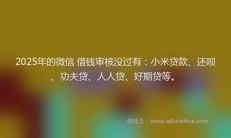 2025年的微信 借钱审核没过有：小米贷款、还呗、功夫贷、人人贷、好期贷等。