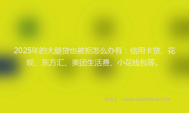 2025年的大腿贷也被拒怎么办有：信用卡贷、花呗、东方汇、美团生活费、小花钱包等。