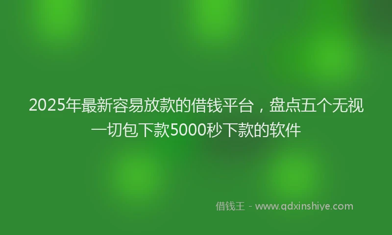 2025年最新容易放款的借钱平台，盘点五个无视一切包下款5000秒下款的软件
