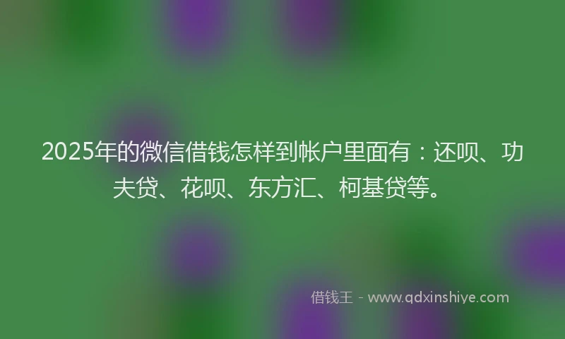 2025年的微信借钱怎样到帐户里面有：还呗、功夫贷、花呗、东方汇、柯基贷等。