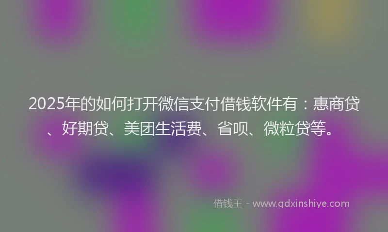 2025年的如何打开微信支付借钱软件有：惠商贷、好期贷、美团生活费、省呗、微粒贷等。