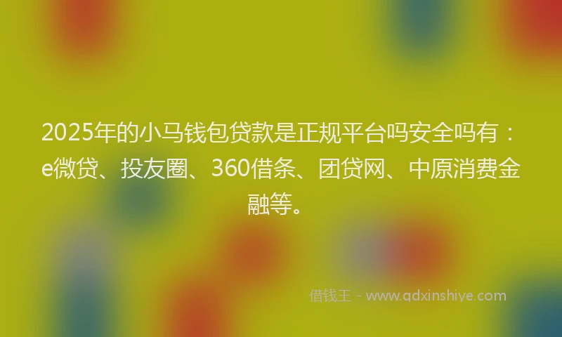 2025年的小马钱包贷款是正规平台吗安全吗有：e微贷、投友圈、360借条、团贷网、中原消费金融等。