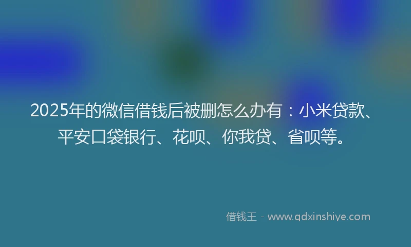2025年的微信借钱后被删怎么办有：小米贷款、平安口袋银行、花呗、你我贷、省呗等。
