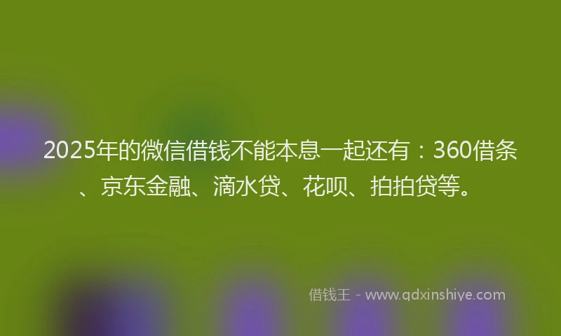 2025年的微信借钱不能本息一起还有：360借条、京东金融、滴水贷、花呗、拍拍贷等。