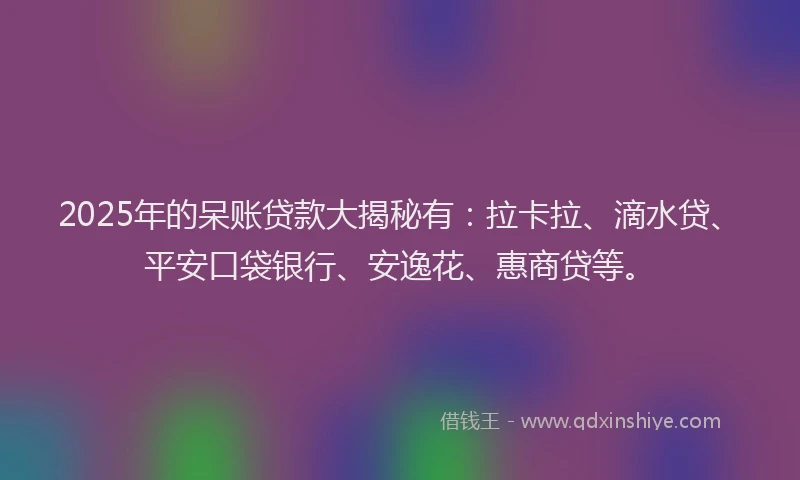 2025年的呆账贷款大揭秘有：拉卡拉、滴水贷、平安口袋银行、安逸花、惠商贷等。