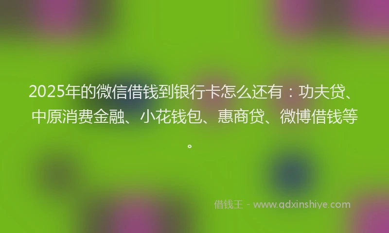 2025年的微信借钱到银行卡怎么还有：功夫贷、中原消费金融、小花钱包、惠商贷、微博借钱等。