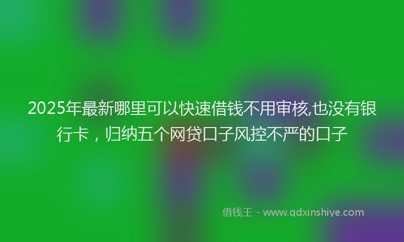 2025年最新哪里可以快速借钱不用审核,也没有银行卡，归纳五个网贷口子风控不严的口子
