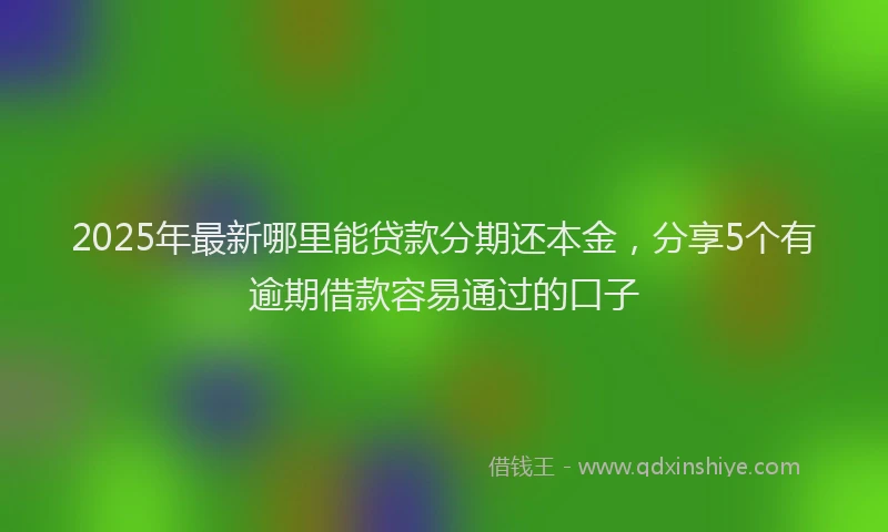 2025年最新哪里能贷款分期还本金，分享5个有逾期借款容易通过的口子