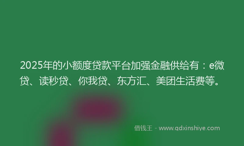 2025年的小额度贷款平台加强金融供给有：e微贷、读秒贷、你我贷、东方汇、美团生活费等。